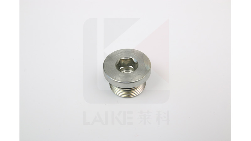 4MN Hollow Hex Metric Plug