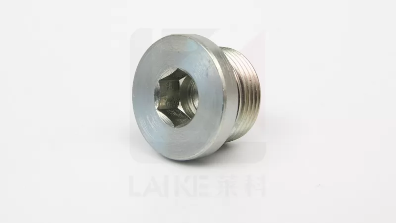 4MN Hollow Hex Metric Plug